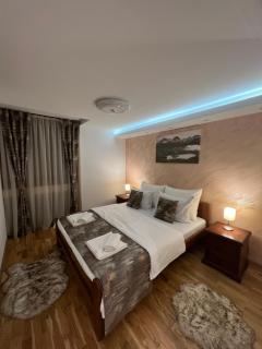 Lux Centre Apartment - Žabljak - 1