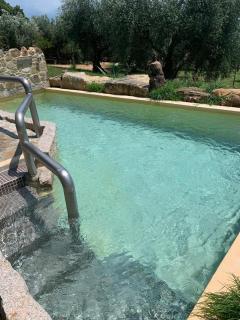 Agriturismo La Fontanella & Glamping - Suvereto - 6