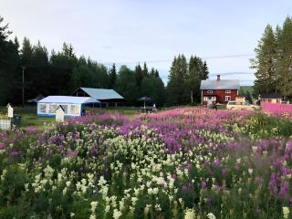 Charming Double-room close to nature - 3