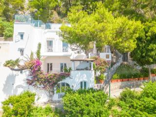 Faraglionensis MonaconeHouse Villa - Capri - 8