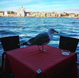 Ca’ MILLA - Venice - 5