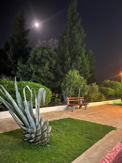 Adriatic apartman - Bečići - 6