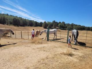Refugio del cañon - 6