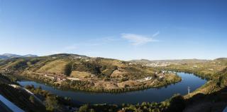 Delfim Douro Hotel - Lamego - 0