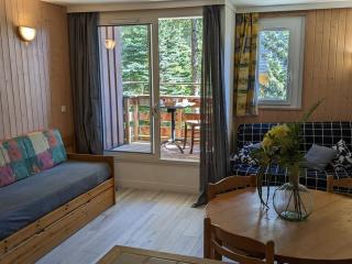 Maxi Studio 6 pers, 20m des pistes, proche commerces, sports à pied - FR-1-262-98 - Forest des Baniols - 4
