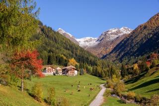 Alpegger - Terenten - 8