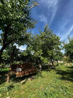 Arpi-Ureni Guesthouse - - 1