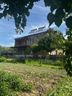 Arpi-Ureni Guesthouse - 9