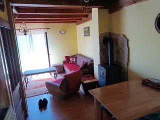 Vila Mitrović - Bajina Bašta - 2