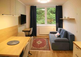 TOP apartmán Novohradské hory - Černé Údolí - 0