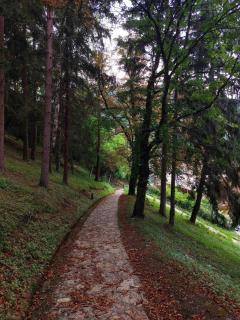 Apartmani Golubina - Visegrad - 4