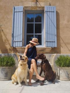 Les Tilleuls - Cavaillon - 8