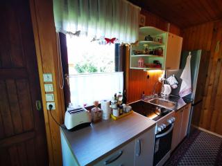 MERIKOTKA - a cozy wooden cottage, sLOVEnia - 1