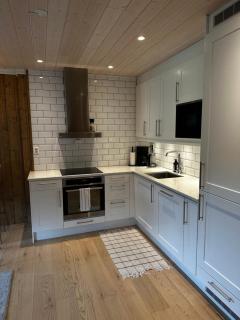 Nice apartment on Geilotunet, Close to city center - 2