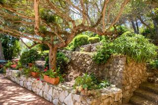 Villa Capo Stella - Lacona - 1