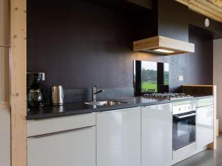 Chalet in Netherlands with Meadow Views - Heeten - 8