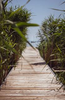 Fűzliget2- Skiff - 8