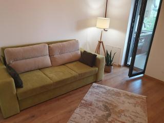 Stadium Central Apartment Residence & terrace - Craiova - 2