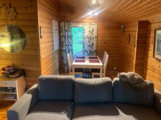 Rauhallinen mökki luonnon keskellä. - Orivesi - 5