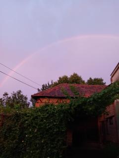 Domaćinstvo Ukusno Marković - 1