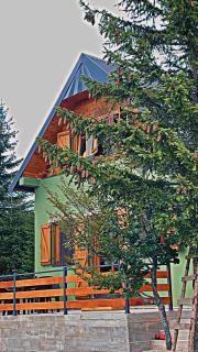 Villa Dandelion - Žabljak - 9