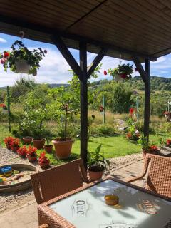 Pensiunea Casa cu Flori - 7