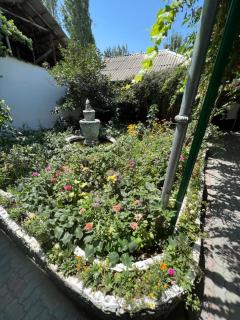 Lovely home for you - Oš - 0