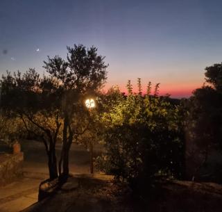 my ikaria home - Raches - 7
