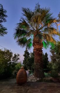 my ikaria home - Raches - 9