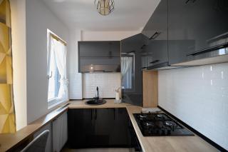 Luxury Cozy Apartments Palas Mall Centru - Iaşi - 4