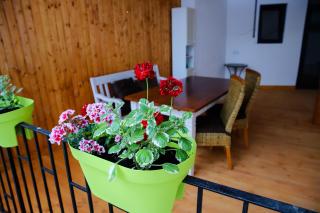 Floasiu Residence Guesthouse - Sibiu - 5