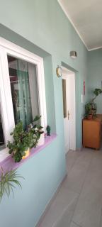 Gästezimmer & Apartment Mayrhofer - Waidhofen an der Ybbs - 1