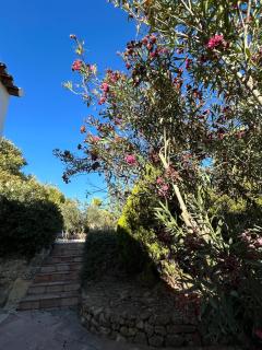 Cortijo Burruelo - Algodonales - 6
