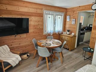 Studio à 100 mètres du départ des pistes de ski - La Salle Les Alpes - 1