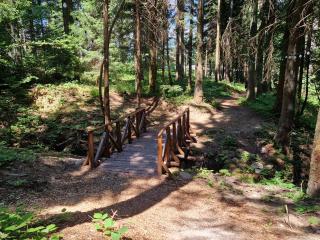 PinePino Borovets, aparthotel Borovets Gardens A60 - Borovets - 3