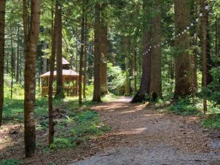 PinePino Borovets, aparthotel Borovets Gardens A60 - Borovets - 2
