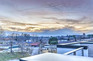 11 Bauhaus Townhome - Asheville - 4
