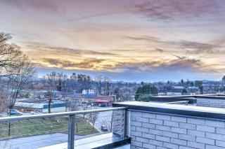 11 Bauhaus Townhome - Asheville - 3