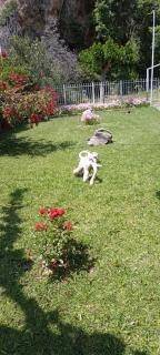 Vicky's sweet home - 3