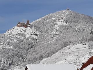 GITE KIENTZLER - Ribeauvillé - 4