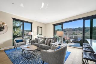 145 Biltmore Ave A New Luxury Condo 541E0D - Asheville - 7