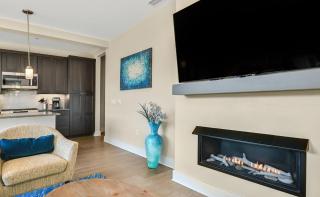 145 Biltmore Ave A New Luxury Condo 541E0D - Asheville - 4