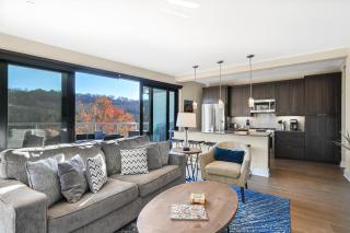 145 Biltmore Ave A New Luxury Condo 541E0D - Asheville - 3