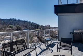 145 Biltmore Ave A New Luxury Condo 541E0D - Asheville - 1