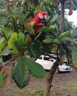 Villa 2 Coral Carrillo - 7