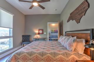 45 Asheland Avenue Unit 307 - Asheville - 7