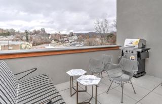 Modern Serenity and Luxurious Finishes - Asheville - 2