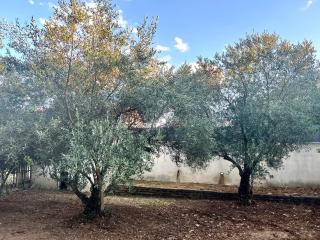 Villa avec piscine privée sans vis à vis et Montpellier à 20mn - Claret - 3