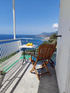 Amazing Sea Views Over the Riviera - Grimaldi - 8