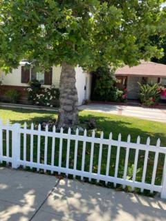 Summer Leaf - Reseda - 2